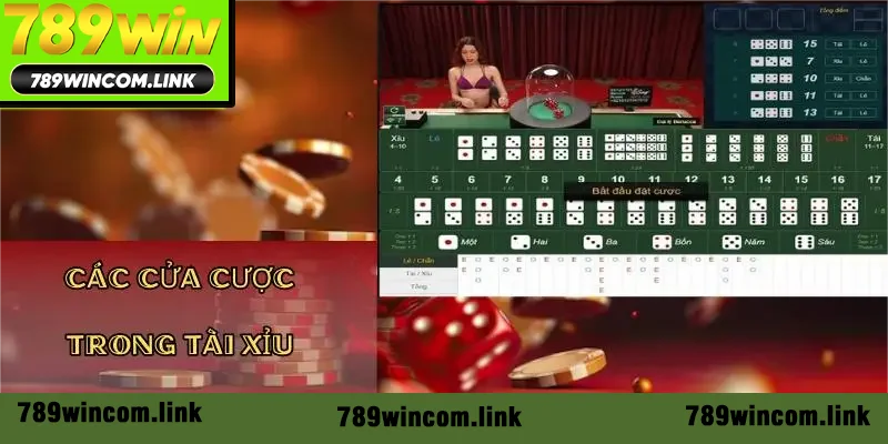 cac-cua-cuoc-trong-tai-xiu-online-789win cac-cua-cuoc-trong-tai-xiu-online-789win