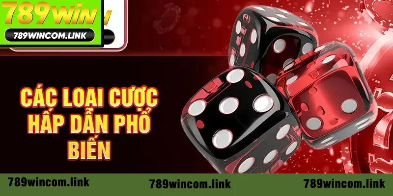 Các loại cược phổ biến hấp dẫn