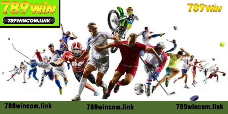Các bộ môn kinh điển tại CMD thể thao Các bộ môn kinh điển tại CMD thể thao