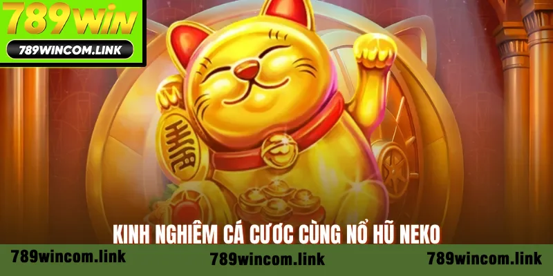 Kinh nghiệm cá cược cùng nổ hũ Neko