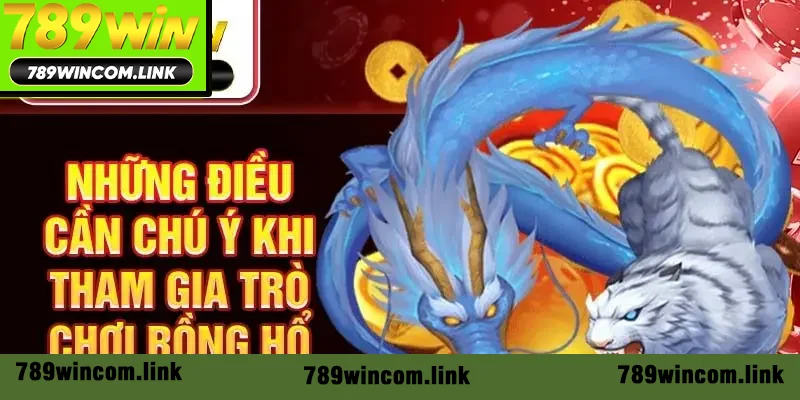 Những điều cần chú ý khi tham gia trò chơi rồng hổ Những điều cần chú ý khi tham gia trò chơi rồng hổ