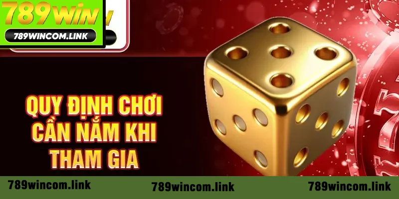 Các quy định cần biết khi tham gia