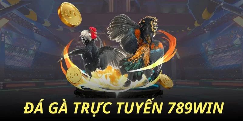 Đá gà 789win 2026